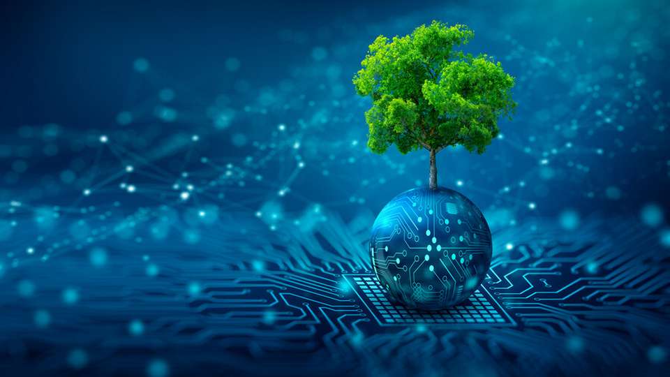 Digitaler Baum wächst aus Schaltkreis – symbolisiert nachhaltige Innovation, technologische Stärke und den digitalen Blue-Ocean-Ansatz von directpool.